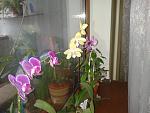     
: 2012-01-10 09.32.20.jpg
: 33
:	123.3 
ID:	3608897
