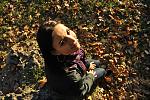     
: DSC_0342.jpg
: 127
:	201.7 
ID:	3610444