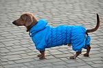    
: DSC_4932.jpg
: 62
:	118.1 
ID:	3611205