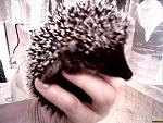     
: image200906150004.jpg
: 145
:	118.7 
ID:	361148