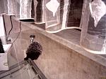     
: image200906150001.jpg
: 148
:	107.9 
ID:	361150