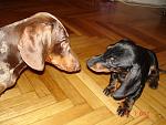     
: DSC04345.jpg
: 23
:	133.5 
ID:	3612477