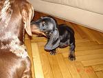     
: DSC04339.jpg
: 22
:	149.4 
ID:	3612478