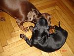     
: DSC04338.jpg
: 18
:	176.6 
ID:	3612480