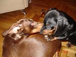     
: DSC04335.jpg
: 23
:	86.7 
ID:	3612481