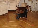     
: DSC04337.jpg
: 22
:	93.1 
ID:	3612482