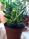     
: DSC05366.jpg
: 26
:	100.5 
ID:	3613029