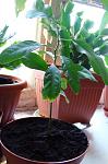     
: DSC05367.jpg
: 37
:	82.7 
ID:	3613032