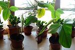     
: DSC05368.jpg
: 24
:	116.8 
ID:	3613036
