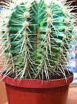     
: IMG_0053.jpg
: 19
:	134.2 
ID:	3614793