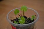     
: DSC_1809.jpg
: 24
:	54.6 
ID:	3615098