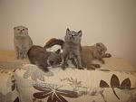     
: DSC06033.jpg
: 60
:	119.0 
ID:	3616751