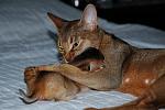     
: Baly- 3.jpg
: 164
:	81.2 
ID:	361750