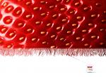     
: 3bf56a8851c31bf5b402d3c2d4fe.jpg
: 19
:	78.3 
ID:	361757