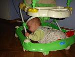     
: DSC09239.jpg
: 58
:	109.5 
ID:	3618064