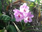     
: Фото-0186.jpg
: 68
:	181.8 
ID:	3618076