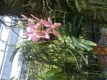     
: Фото-0220.jpg
: 121
:	250.1 
ID:	3618104