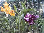     
: Фото-0177.jpg
: 127
:	226.4 
ID:	3618145
