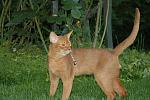     
: DSC_0136.jpg
: 146
:	94.4 
ID:	361983
