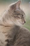     
: f51d21f624be.jpg
: 7
:	41.0 
ID:	3621897