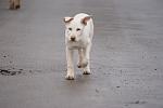     
: DSC01046.jpg
: 23
:	72.2 
ID:	3626486