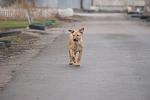     
: DSC01049.jpg
: 14
:	73.1 
ID:	3626487