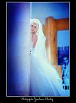     
: x_3e2f40c4.jpg
: 99
:	22.2 
ID:	3627811