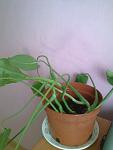     
: Фото004.jpg
: 140
:	67.9 
ID:	3628301