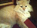     
: DSC00001.jpg
: 12
:	221.1 
ID:	3630426