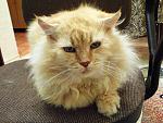     
: DSC00002.jpg
: 12
:	224.6 
ID:	3630435