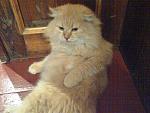     
: DSC00004.jpg
: 10
:	180.4 
ID:	3630436