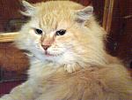     
: DSC00010.jpg
: 6
:	214.2 
ID:	3630439