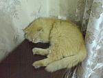     
: DSC00140.jpg
: 8
:	151.8 
ID:	3630446