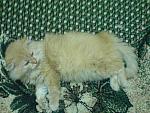     
: DSC00186.jpg
: 7
:	206.1 
ID:	3630453