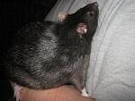     
: IMG_6453.jpg
: 25
:	50.0 
ID:	3630485