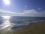     
: CIMG0345.jpg
: 55
:	127.4 
ID:	3630853