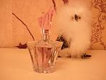     
: mugler.jpg
: 21
:	98.4 
ID:	3630867