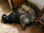     
: DSCN1736.jpg
: 36
:	99.7 
ID:	3631454