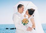    
: 0000004 (12).jpg
: 102
:	90.8 
ID:	3633005