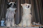     
: DSC_0261.jpg
: 13
:	62.4 
ID:	3635178