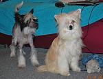     
: DSC_0281.jpg
: 13
:	81.8 
ID:	3635181