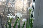     
: IMG_4303.JPG
: 12
:	155.8 
ID:	3635316