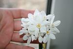     
: IMG_4305.JPG
: 12
:	105.2 
ID:	3635317