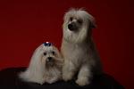    
: IMG_0337.jpg
: 11
:	46.8 
ID:	3635388