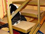     
: IMG_0089.jpg
: 24
:	132.2 
ID:	3639075