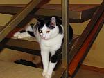     
: IMG_0091.jpg
: 16
:	120.2 
ID:	3639076