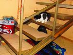     
: IMG_0092.jpg
: 25
:	164.6 
ID:	3639078