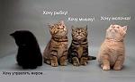     
: x_9efa2dab.jpg
: 72
:	28.1 
ID:	3640149