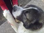     
: 150120121019.jpg
: 41
:	156.2 
ID:	3642061