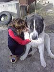     
: 150120121020.jpg
: 46
:	114.5 
ID:	3642064